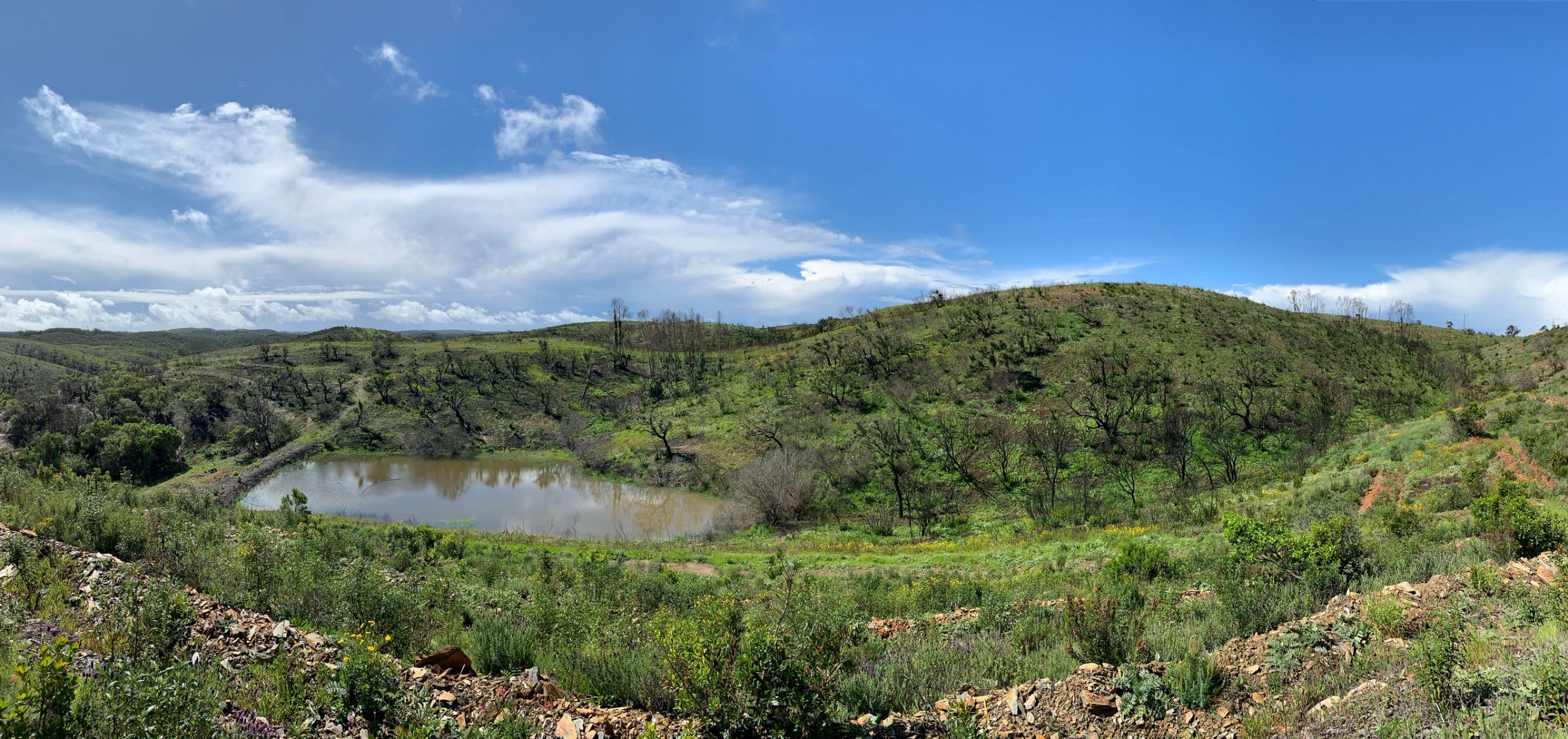 The freshwater lake at the heart of the estate