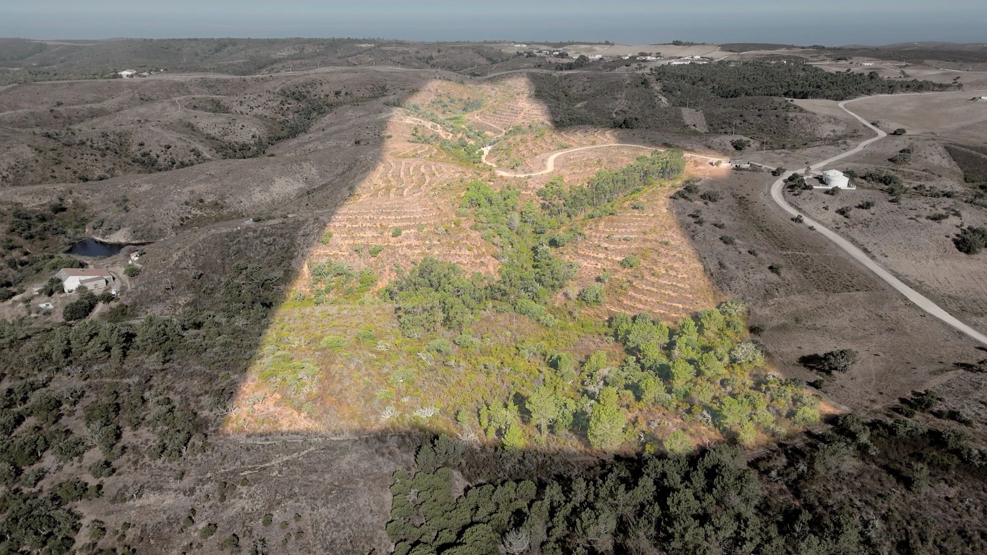 Aerial view of the 15 hectare Alfambras estate